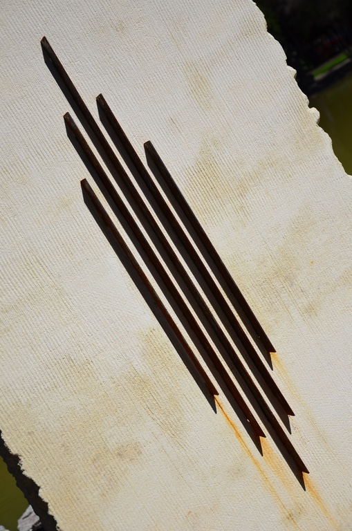 2017-03 New Zealand/Rotorua/DSC_0068.JPG